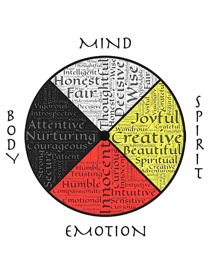 medicine-wheel-401408_1920 - Social Capital