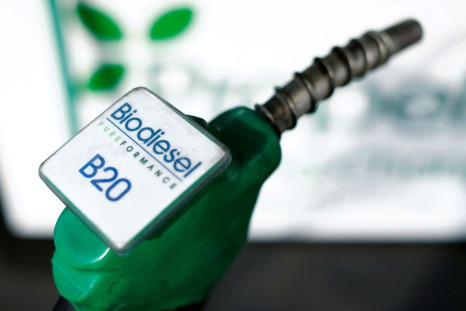 A fuel nozzle from a bio diesel fuel pump is seen in this photo illustration taken at a filling station in San Diego, California January 8, 2015. 