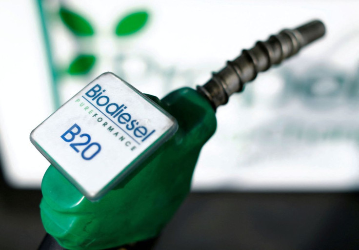 A fuel nozzle from a bio diesel fuel pump is seen in this photo illustration taken at a filling station in San Diego, California January 8, 2015. 
