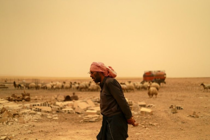 A man walks near sheep grazing in a dry field during a sandstorm in Raqqa province of Syria, one of the countries most vulnerable and poorly prepared for climate change
