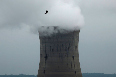 A bird flies over the Three Mile Island Nuclear power plant in Goldsboro, Pennsylvania, U.S. May 30, 2017.   