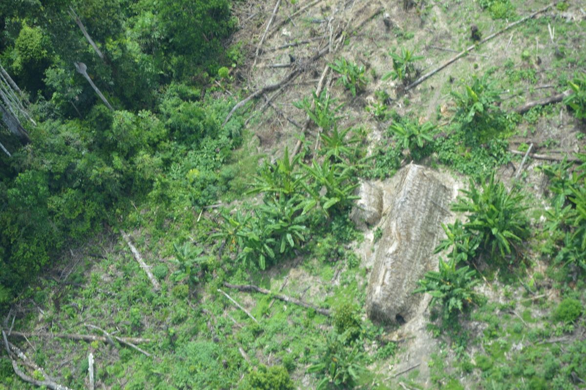 brazil-s-navy-searching-for-british-journalist-missing-in-amazon-jungle