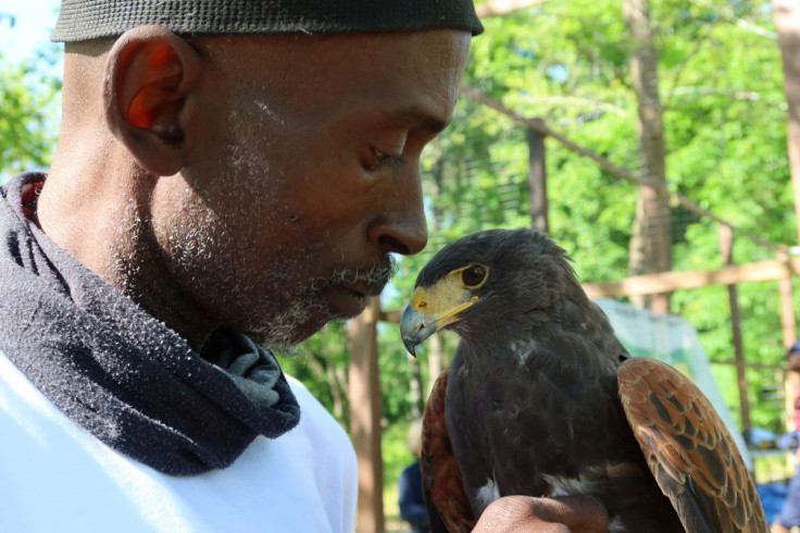 Rodney Stotts, a master falconer, holds a Harris Hawk named Petunia, in Laurel, Maryland, U.S., May 10, 2022.