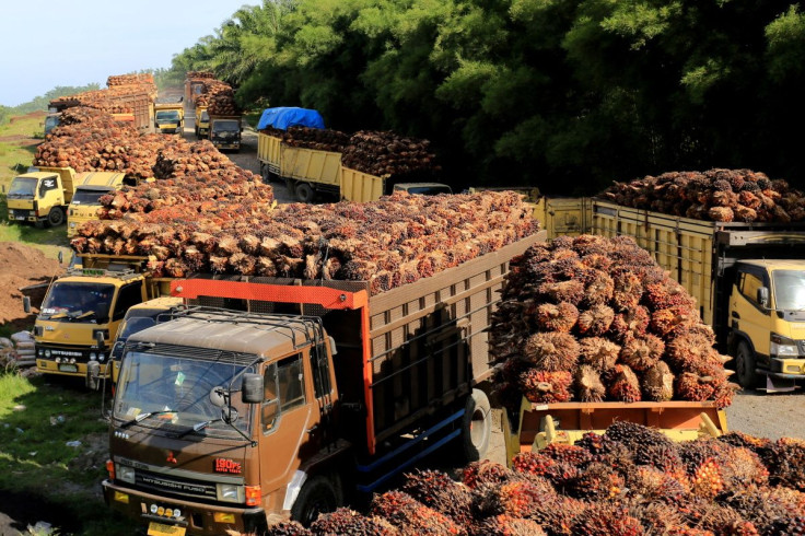 Trucks with palm oil fresh fruit bunches queue for unloading at a factory in West Aceh, Indonesia, May 17, 2022, in this photo taken by Antara Foto. Antara Foto/Syifa Yulinnas/ via REUTERS