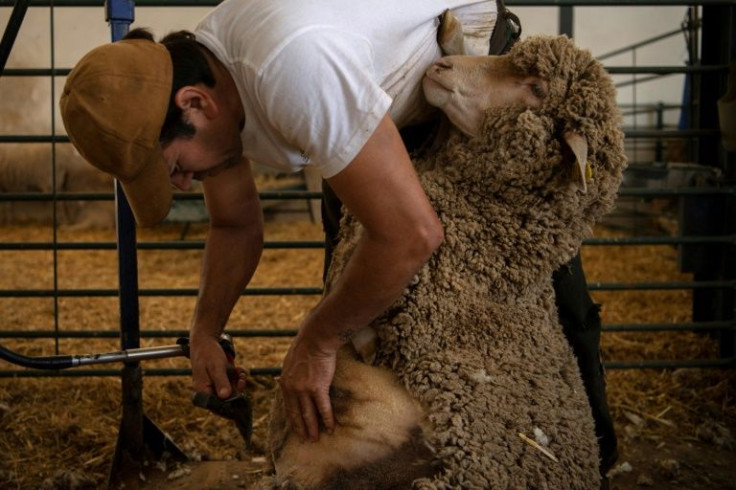 The students come from a wide range of backgrounds: some already work in farming while others are completely new to it