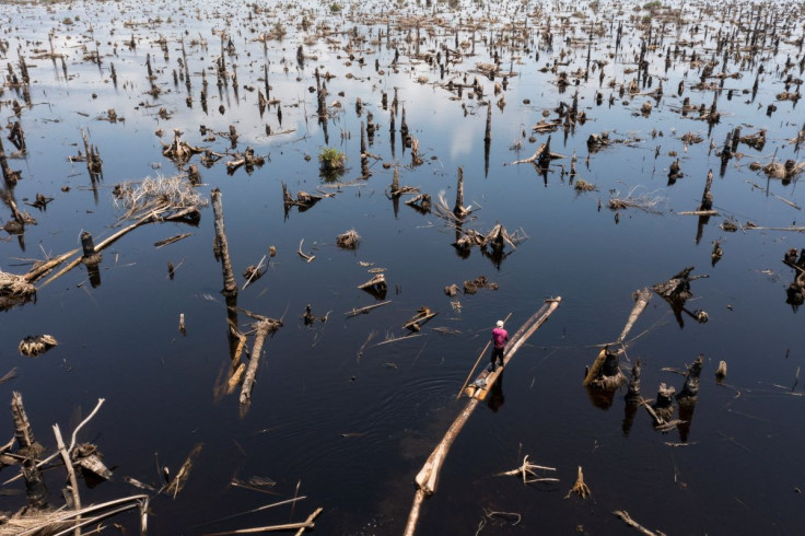 Logger, Egbontoluwa Marigi, 61, paddles his logs out of the flooded forest floor onto the river in Ipare, Ondo State, Nigeria, October 14, 2021.