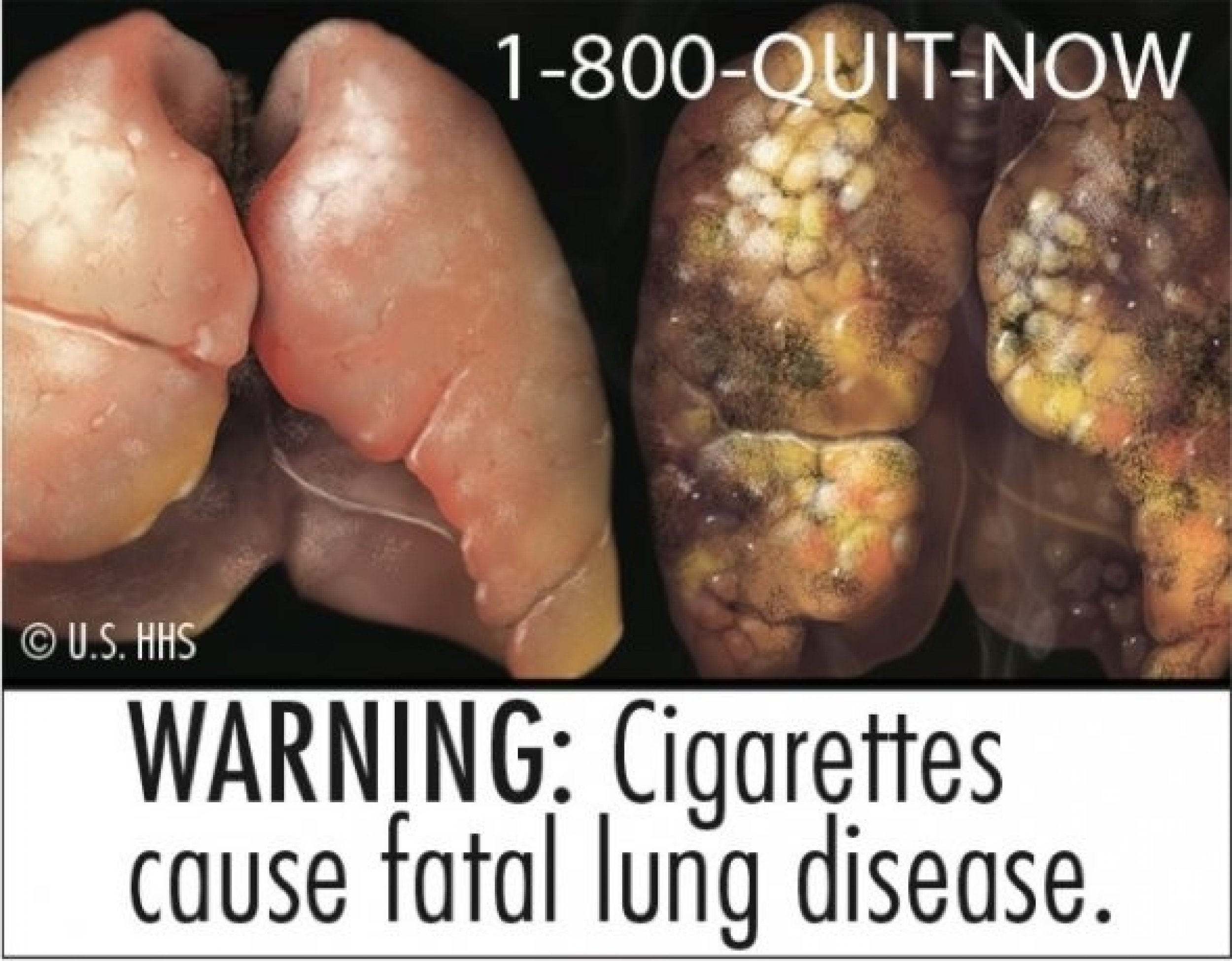 FDA releases new labels you are about to see on cigarette packs