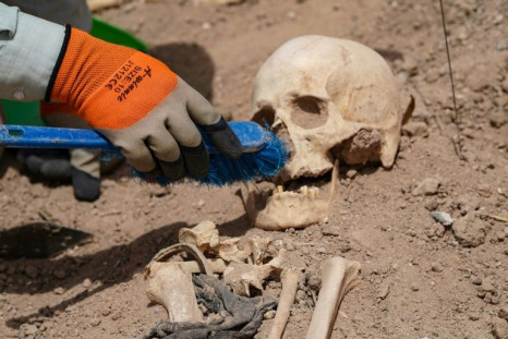 A forensics expert uses a brush to exhume a skull