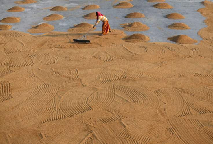 A worker spreads rice for drying at a rice mill on the outskirts of Kolkata, India, January 31, 2019.