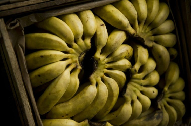 Czech supermarket staff got more than they bargained for in their banana shipments -- bricks of cocaine