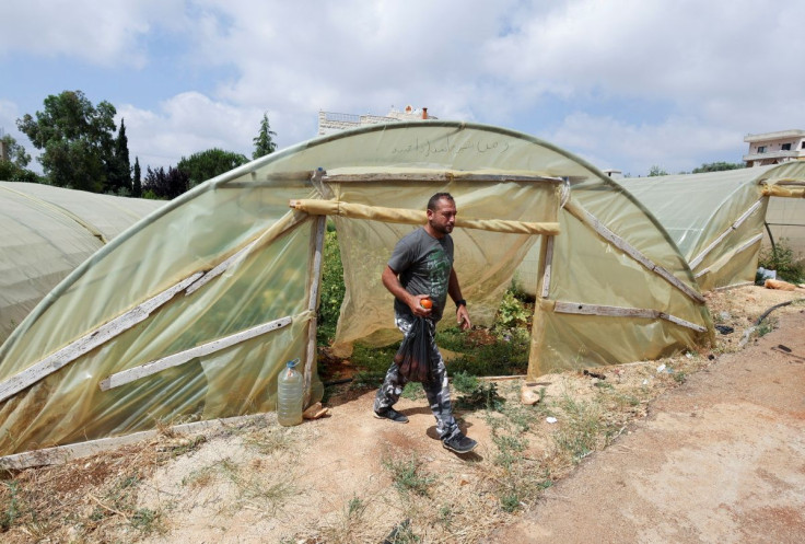 Qassem Shreim, 42, walks out of a greenhouse in Bani Haiyyan village, southern Lebanon June 7, 2022. Picture taken June 7, 2022.