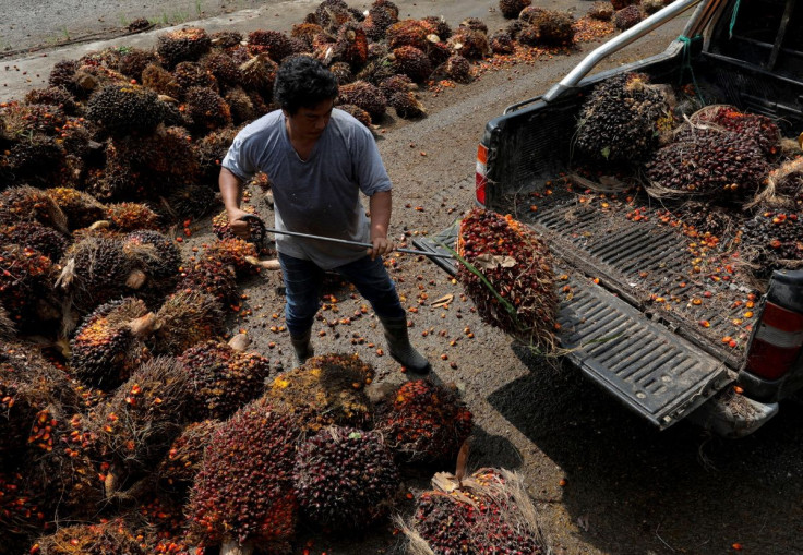 A man unloads fresh fruit bunches of oil palm at the fruit collection centre for smallholders in Banting, Selangor, Malaysia, June 10, 2022.