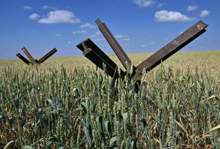 As the blockage of Ukrainian grain stokes fears of a global food crisis, the obstacles are piling up for farmer Nadiia Ivanova