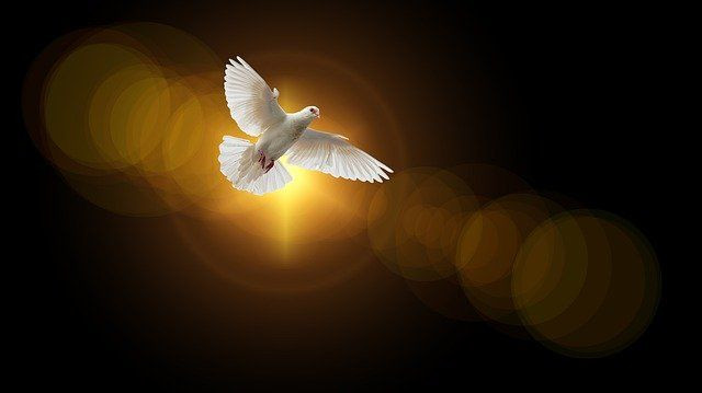 faith-gd37e4ddd5_640