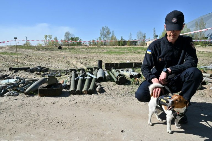 A Jack Russell called Patron has been helping sappers clear evacuated areas of Russian mines