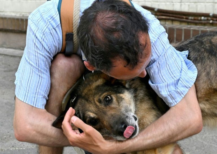 In the Kyiv shelter, volunteers shower the animals with affection