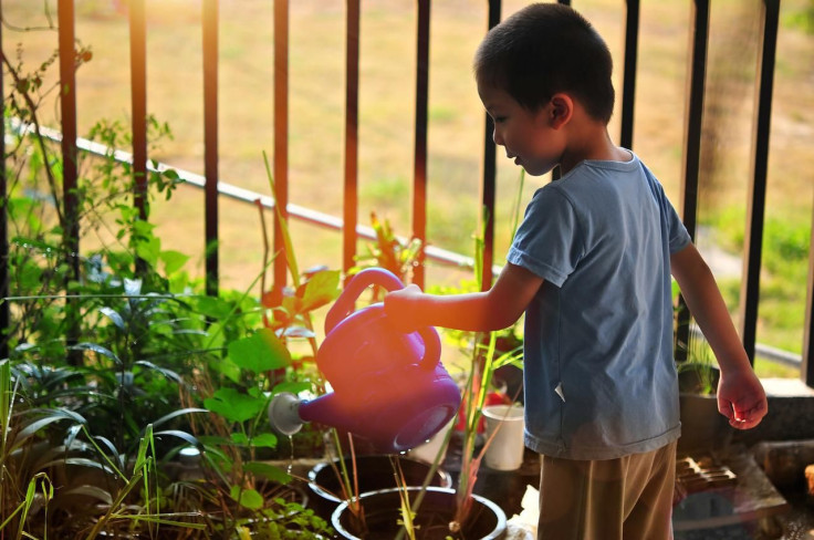 Chores/children/garden