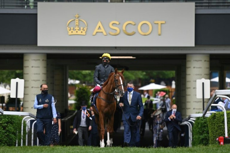 Stradivarius could rouind off his Royal Ascot career by winning a record-equalling fourth Ascot Gold Cup