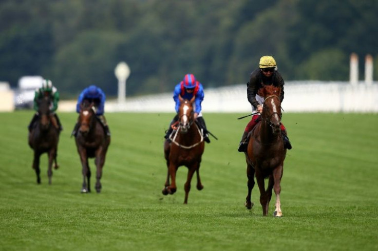 Stradivarius's tilt at equalling Yeats's record Ascot Gold Cup haul of four could well be his penultimate race on a farewell tour