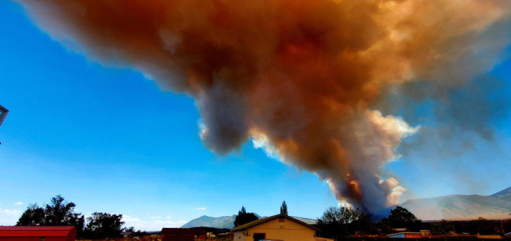 A view shows a fire tornado shape near Flagstaff, Arizona, U.S., June 12, 2022. Picture taken June 12, 2022. Shawn Williams/Handout via REUTERS   