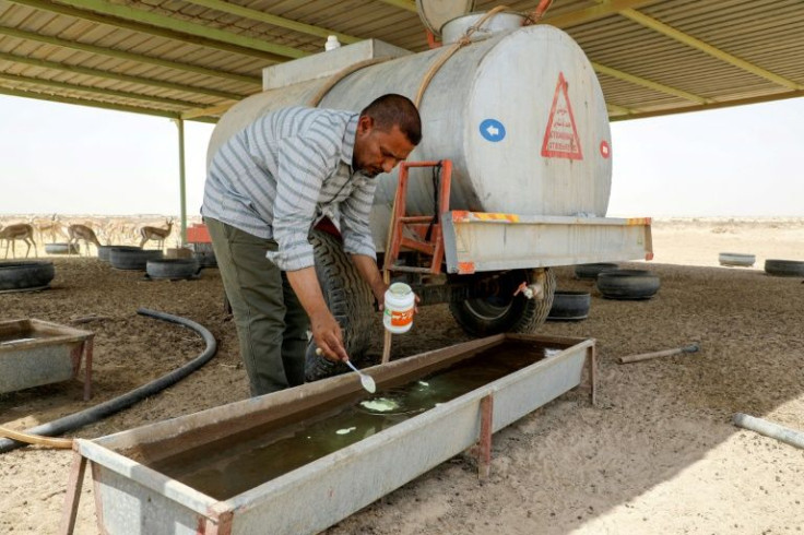 Turki al-Jayashi, director of the Sawa wildlife reserve, adds nutritional supplements to a water trough. He says a lack of funding and the harsh climate have hurt the gazelles