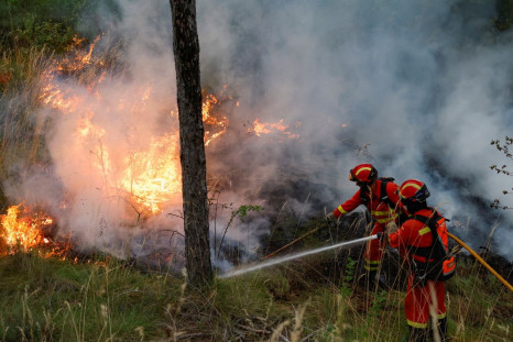 Firefighters from the Unidad Militar de Emergencias (UME) tackle a forest fire near Artazu, Navarre province, Spain, June 19, 2022. 