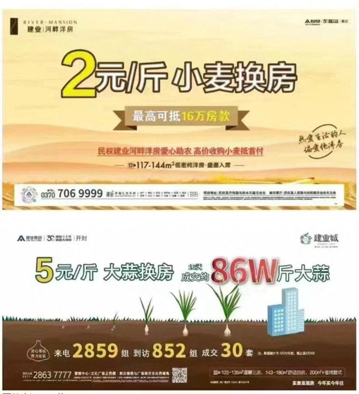 Screenshot of advertisement from Central China Real Estate offering to let buyers use garlic crops to make their downpayment on a property