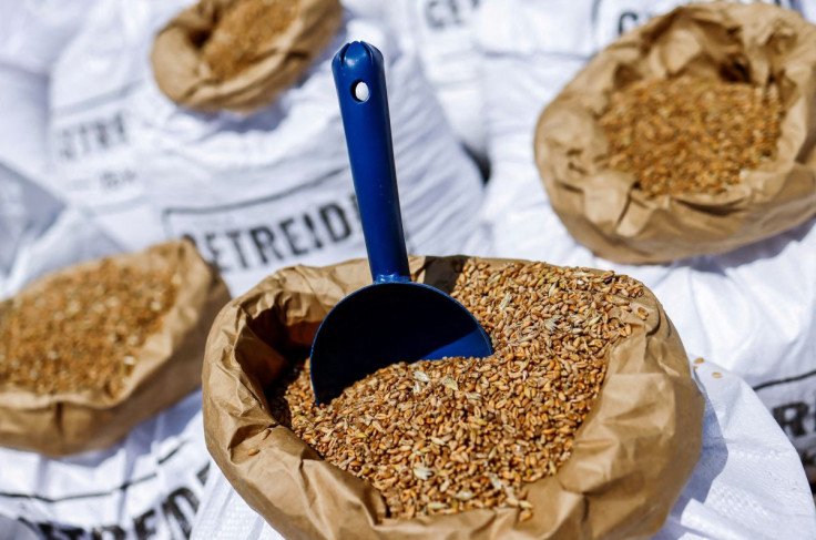 Grain is pictured during a Greenpeace protest against the production of biofuel from grain in front of the German Ministry of Transport in Berlin, Germany, June 1, 2022.
