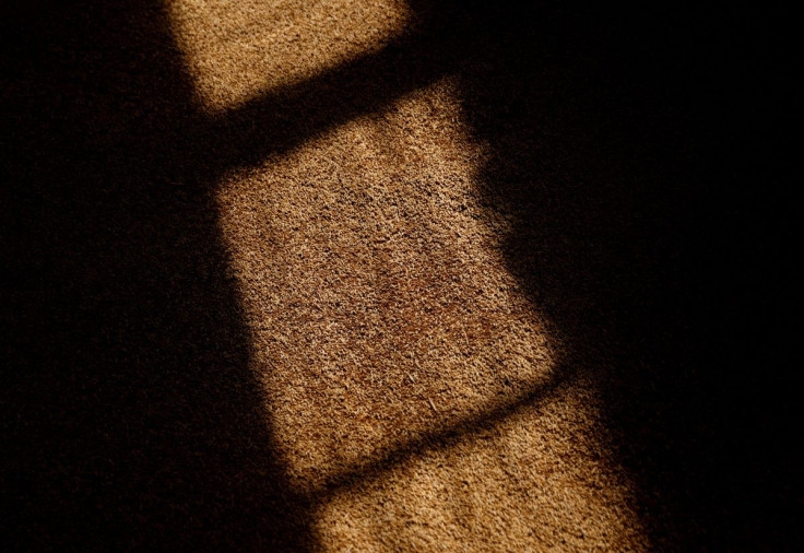 Wheat grain is pictured in a warehouse in Bashtanka, Mykolaiv region, Ukraine, June 9, 2022.