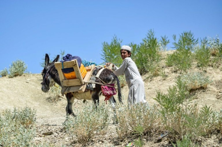 A young boy urges his donkey towards shelter as he leaves his wrecked village in Gayan district