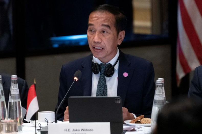 Indonesia holds the rotating presidency of the G20 this year