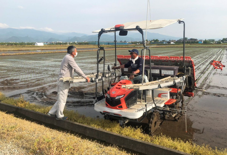 Rice farmer Kazuyuki Oshino chats with his son-in-law at a rice field, in Tendo, Yamagata prefecture, northern Japan.