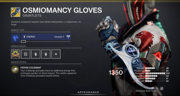 The Osmiomancy Gloves in Destiny 2