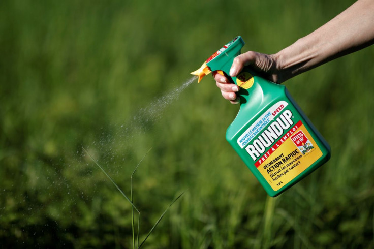 A woman uses a Monsanto's Roundup weedkiller spray without glyphosate in a garden in Ercuis near Paris, France, May 6, 2018. 
