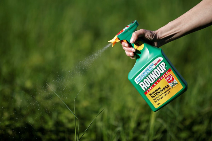 A woman uses a Monsanto's Roundup weedkiller spray without glyphosate in a garden in Ercuis near Paris, France, May 6, 2018.
