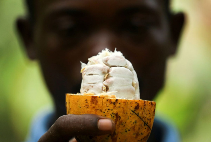 A farmer holds a cocoa pod at a cocoa farm in Alepe, Ivory Coast December 7, 2020.