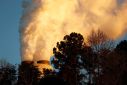 Steam rises from Duke Energy's Marshall Power Plant in Sherrills Ford, North Carolina, U.S. November 29, 2018.    