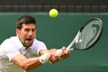 Country club: Novak Djokovic faces fellow Serb Miomir Kecmanovic on Friday