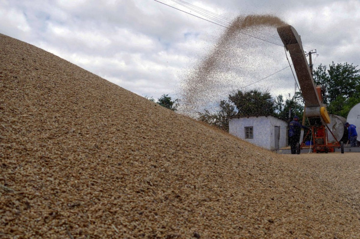 Workers storage grain at a terminal during barley harvesting in Odesa region, as Russia's attack on Ukraine continues, Ukraine June 23, 2022.  