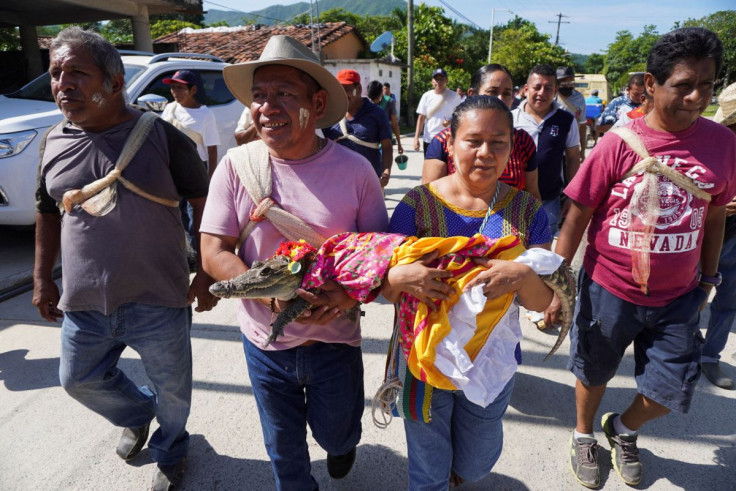 People carry a seven-year-old alligator before a traditional ritual marriage, likely dates back centuries to pre-Hispanic times, between the San Pedro Huamelula Mayor Victor Hugo Sosa and the reptile that depicts a princess, as a prayer to plead for natur