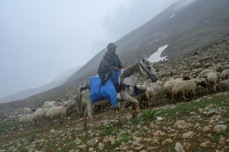 Kurdish shepherds in Turkey's Mercan Valley have been replaced by Afghans, who have fled here by foot and truck across Iran