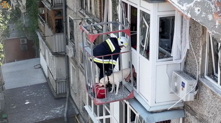 Rescuers evacuate a dog from a damaged residential building following a missile strike, amid Russia's invasion on Ukraine, in Mykolaiv, Ukraine in this still image taken from a handout video June 29, 2022.   Courtesy of State Emergency Service of Ukraine/