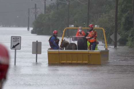 An emergency crew rescues two ponies from a flooded area in Milperra, Sydney metropolitan area, Australia July 3, 2022 in this screen grab obtained from a handout video. NSW State Emergency Service/Handout via REUTERS