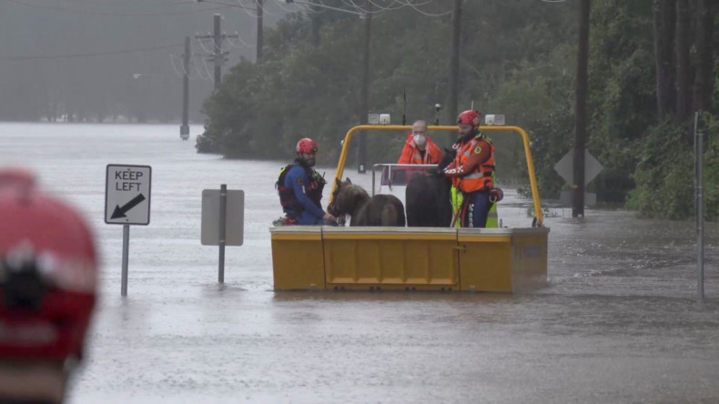 An emergency crew rescues two ponies from a flooded area in Milperra, Sydney metropolitan area, Australia July 3, 2022 in this screen grab obtained from a handout video. NSW State Emergency Service/Handout via REUTERS