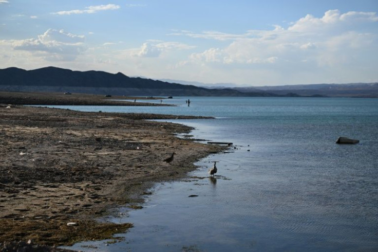 Birds stand on exposed lakebed during low water levels due to the western drought on June 28, 2022 on Lake Mead