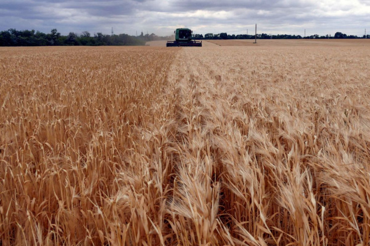 A combine harvests barley in a field, as Russia's attack on Ukraine continues, in Odesa Region, Ukraine June 23, 2022.  