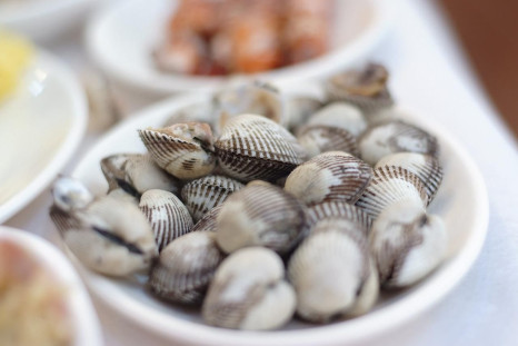 clams/shell/seafood
