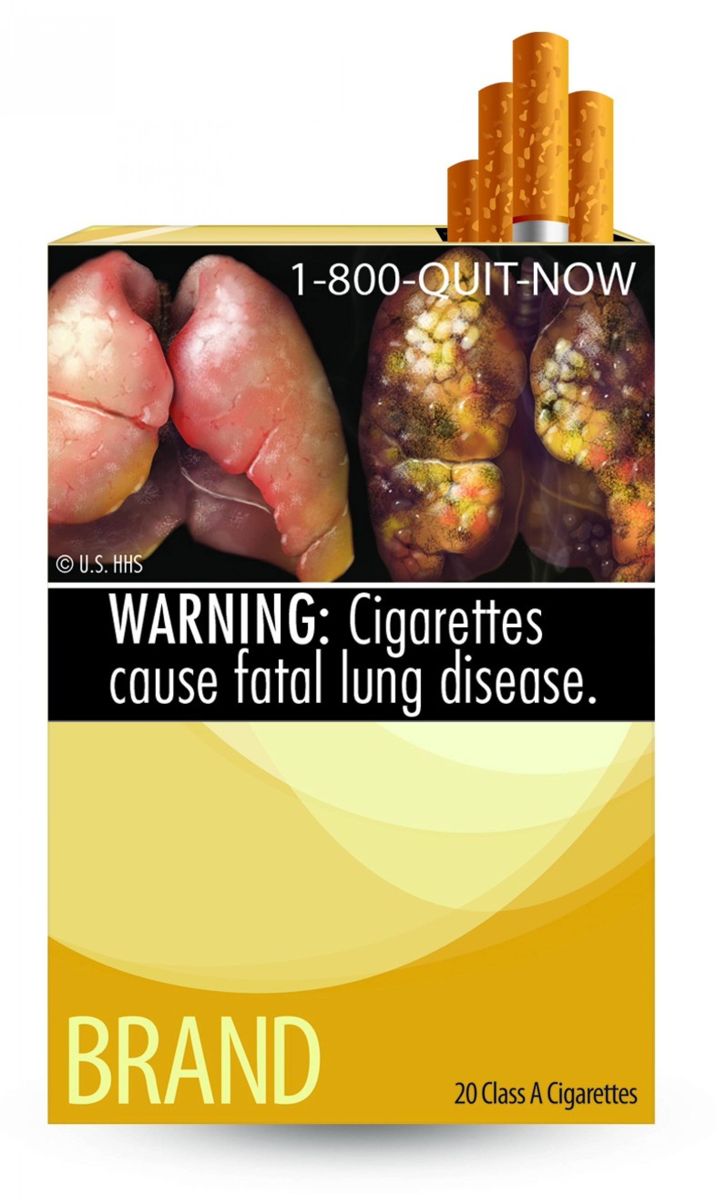 WARNING Cigarettes cause fatal lung disease.