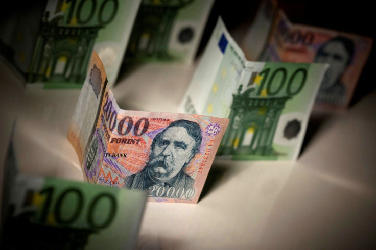 Hungarian forint and Euro notes are seen in this photo illustration taken in Budapest February 6, 2014.