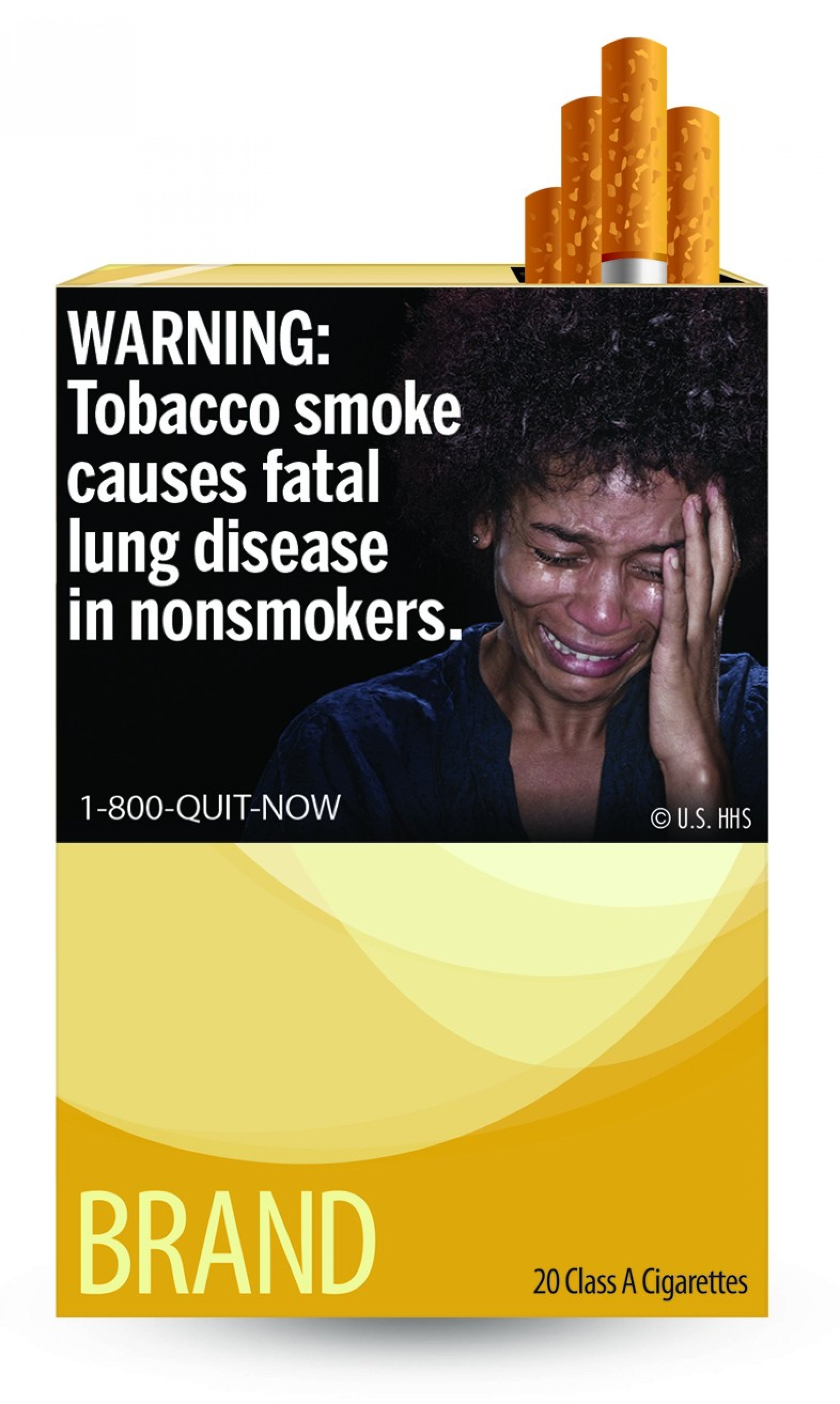 WARNING Tobacco smoke causes fatal lung disease in nonsmokers.